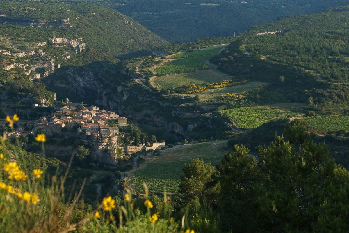 Que Faire à Minerve ?