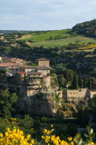 Village de Minerve - Minervois - Herault - Domaine Vordy