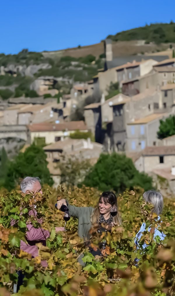 Degustation de vins a Minerve - Domaine Vordy- Domaine Viticole exclusivement BIO